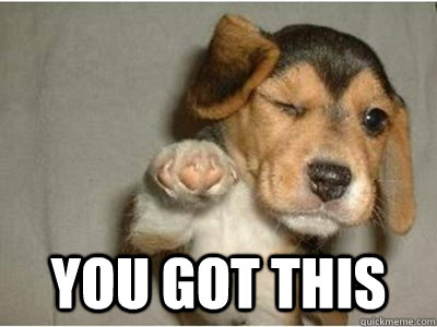 Motivational You Got This poster with dog
